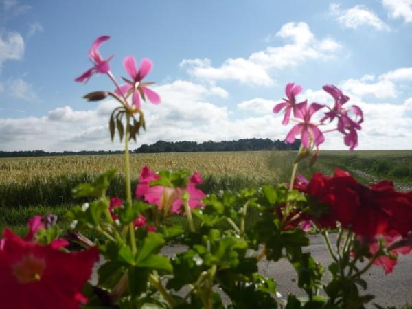 Loire Valley self catering accommodation, France