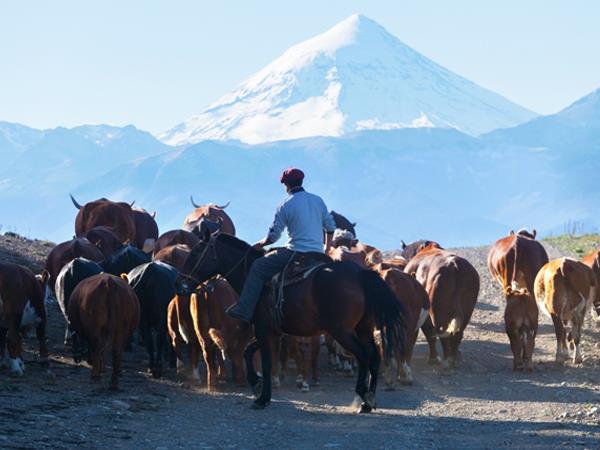 Argentina & Chile vacation, crossing the Andes