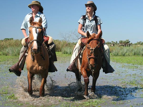 Northern Argentina wildlife and nature vacation