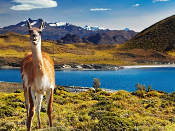 Patagonia hiking vacation, glacier tour