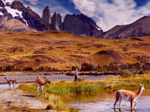 Patagonia hiking vacation, glacier tour