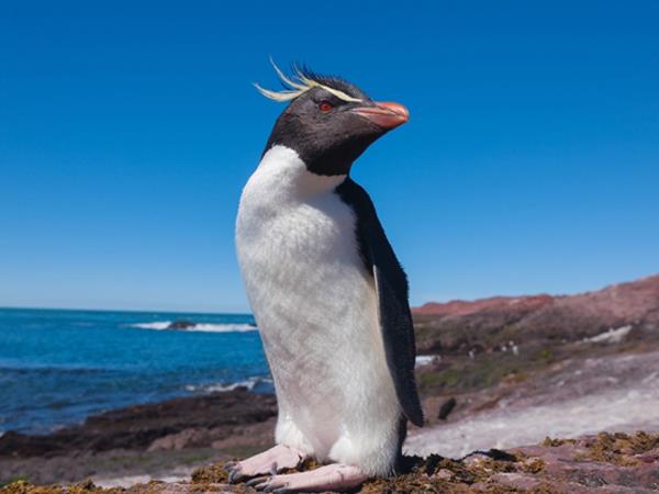 Patagonia tailor made vacation, Argentina and Chile