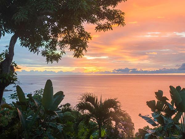 Weddings in Tobago