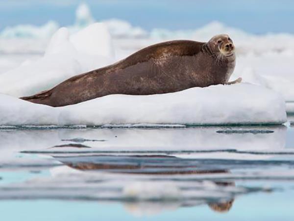 Arctic expedition cruise, circumnavigation of Spitsbergen