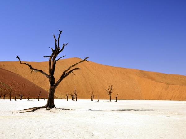 Namibia self drive adventure vacation
