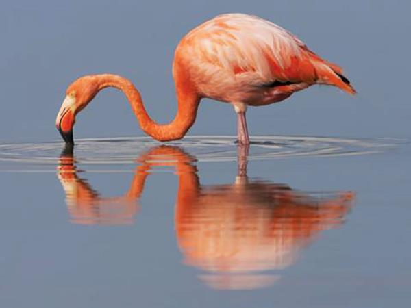 Galapagos cruise vacation
