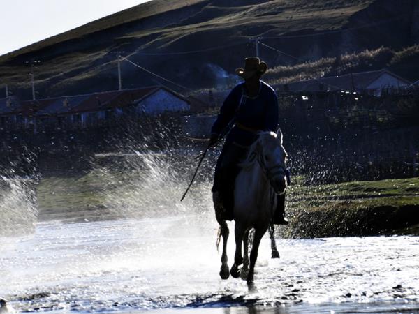 Inner Mongolia horse riding tour, China