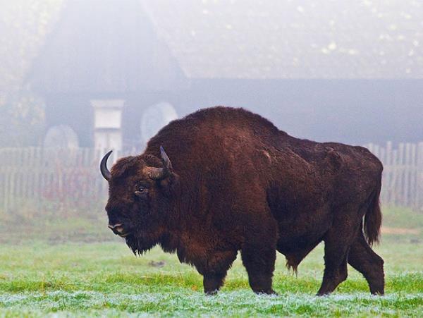 Poland adventure vacation