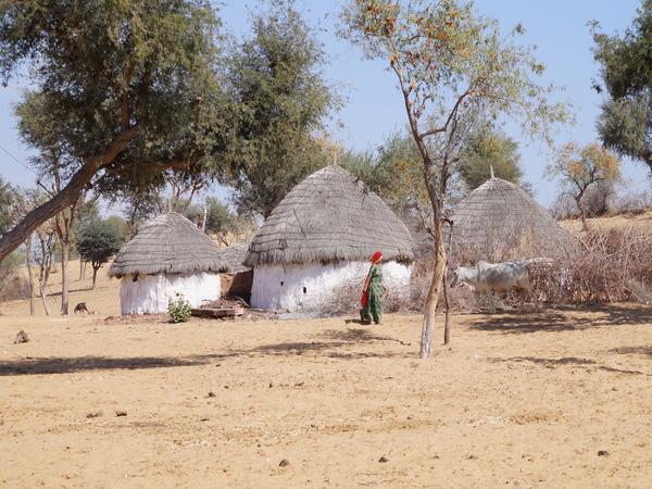 Cultural and rural tour of Rajasthan