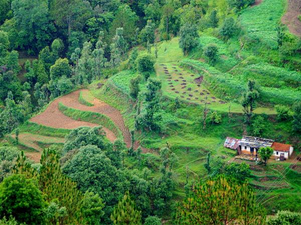 Community based holiday in Indian Himalayas