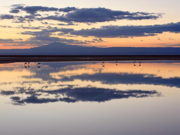 Atacama Desert self drive vacation in Chile