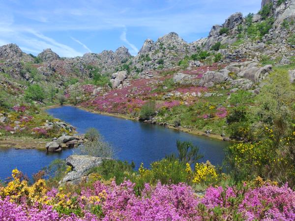 North Portugal horse riding vacation