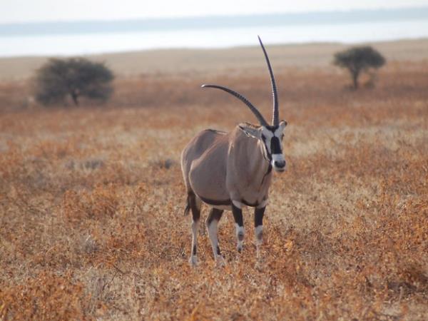 Namibia on a budget