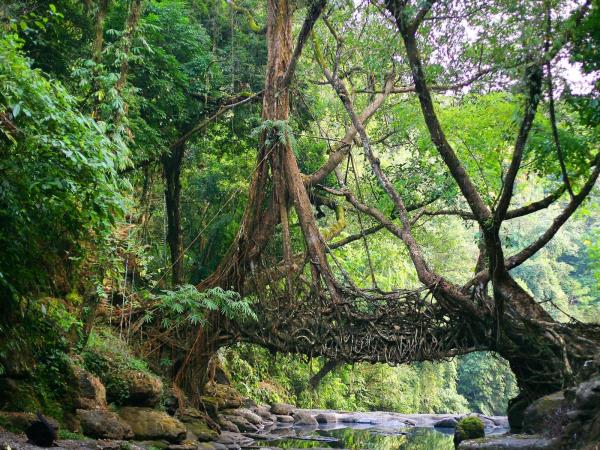 North East India tour of rural tribes
