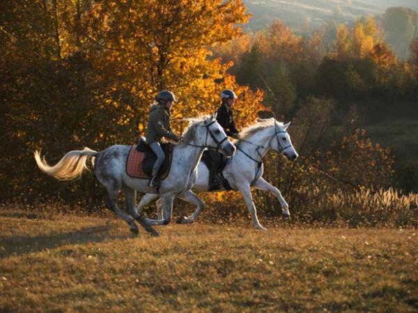Horse riding holiday in Romania