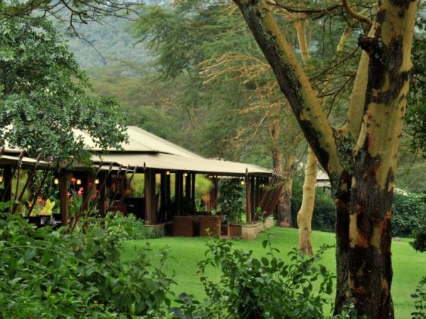 Birding vacation in Kenya