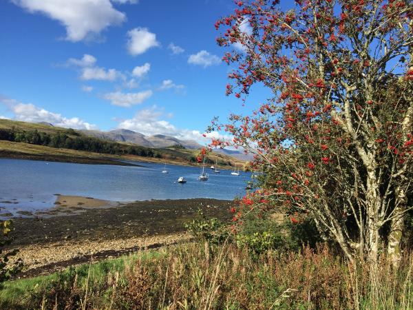 Inner Hebrides wildlife cruise
