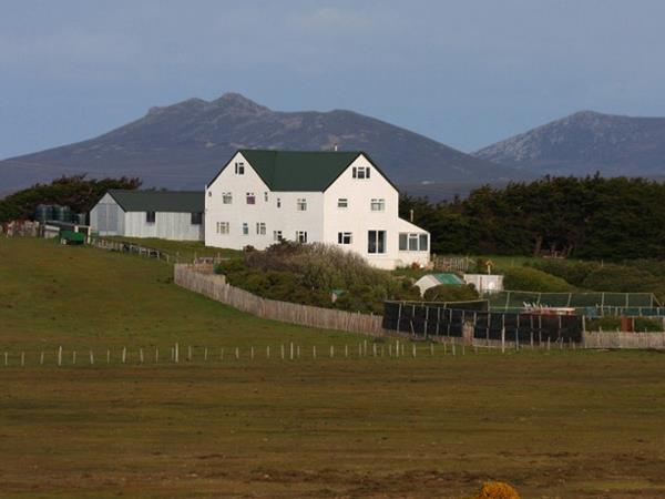 Falkland Islands tour, birds and wildlife