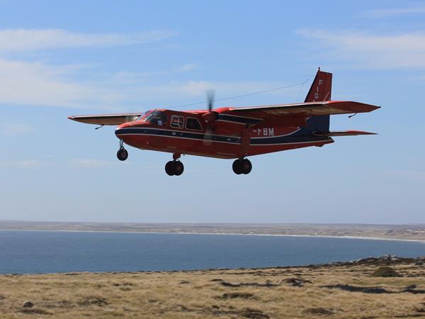 Falkland Islands wildlife tour