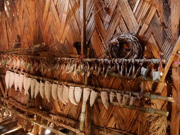 Tribal and rural experience of India