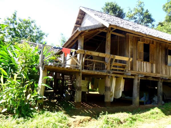 Family volunteering with elephants in Laos