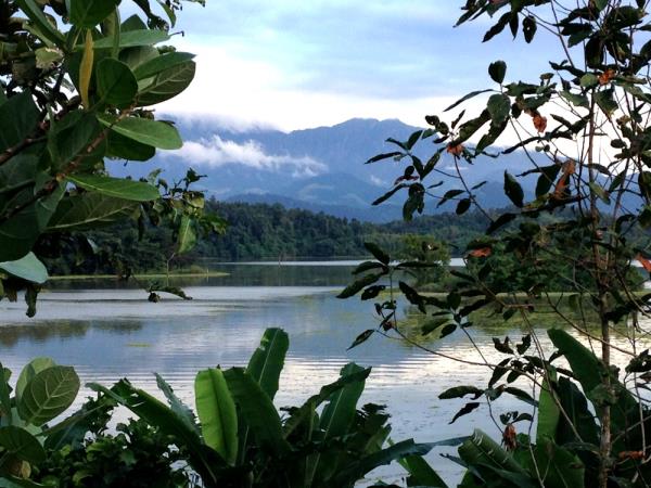 Family volunteering with elephants in Laos