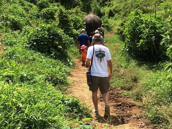 Family volunteering with elephants in Laos