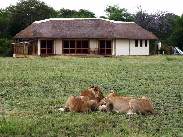 Botswana wildlife adventure