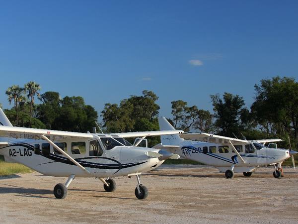 Botswana wildlife adventure