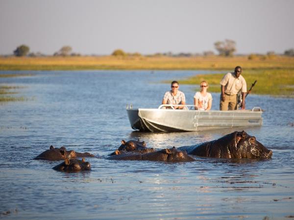 Botswana highlights and Victoria falls