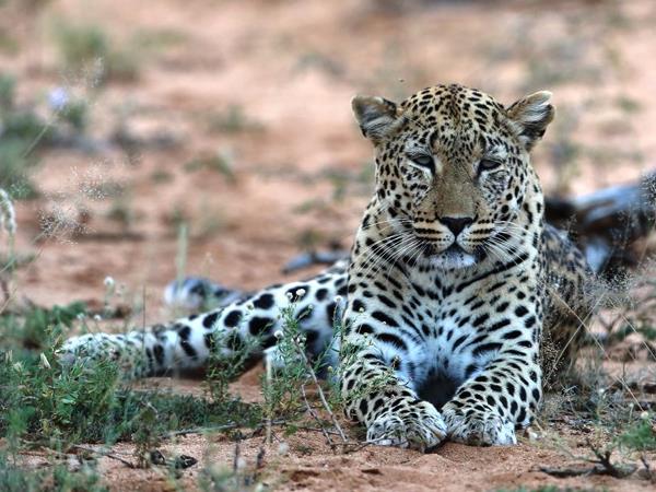 Zimbabwe & Botswana self drive vacation