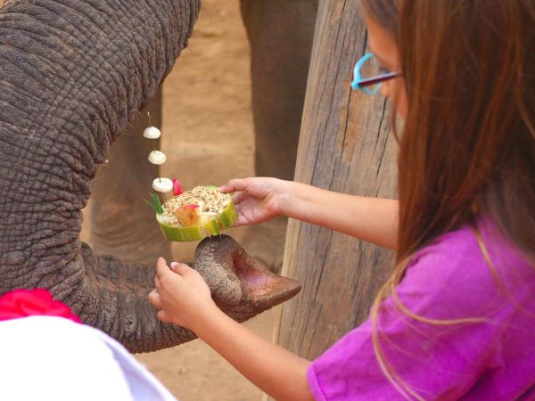 Family volunteering with elephants in Laos