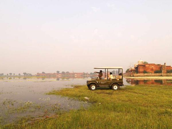 Birdwatching in India