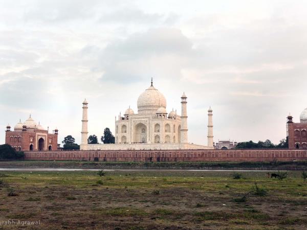 Birdwatching in India