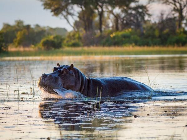Best of Botswana and Zimbabwe holiday