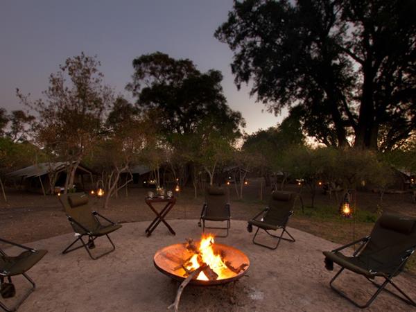 Zimbabwe & Botswana safari, elephant paths