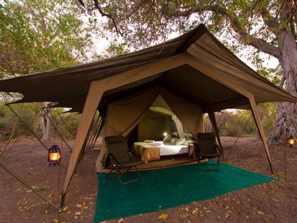 Zimbabwe & Botswana safari, elephant paths