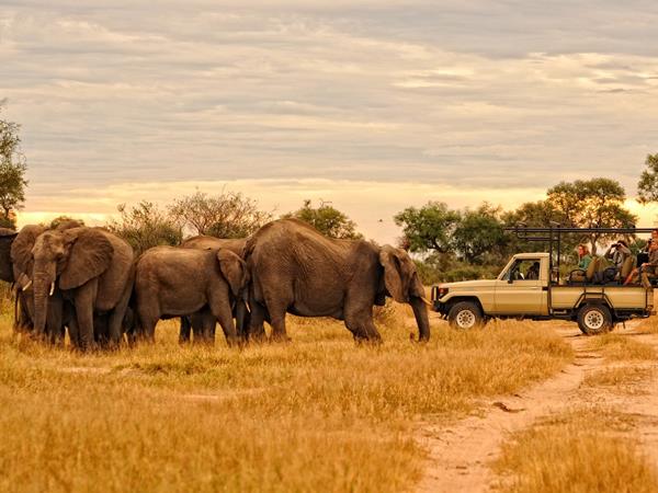 Zimbabwe wildlife holidays