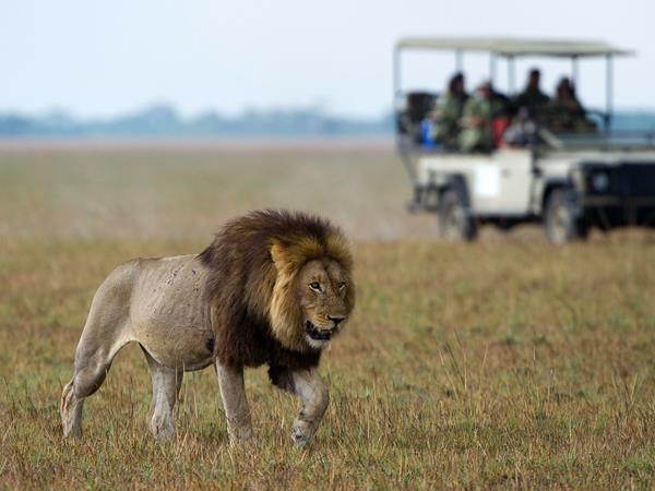 Zambia safari vacation, tailor made