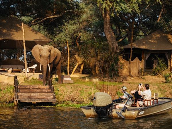 Zambia safari vacation, tailor made