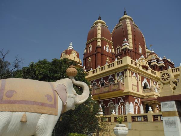Medical internship in India