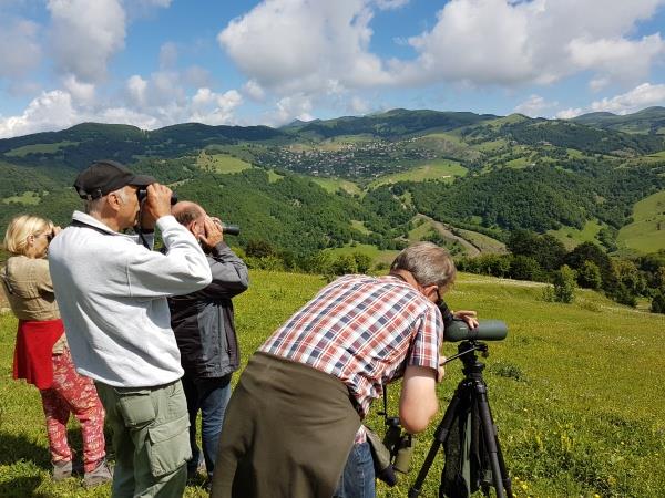 Armenia bird watching tour