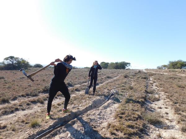 Big five conservation in South Africa