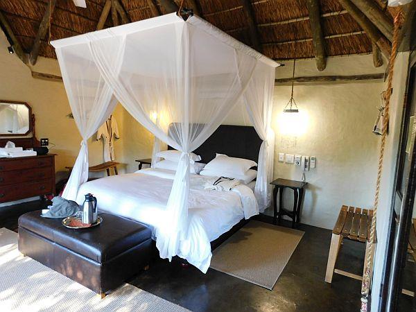 Big five conservation in South Africa