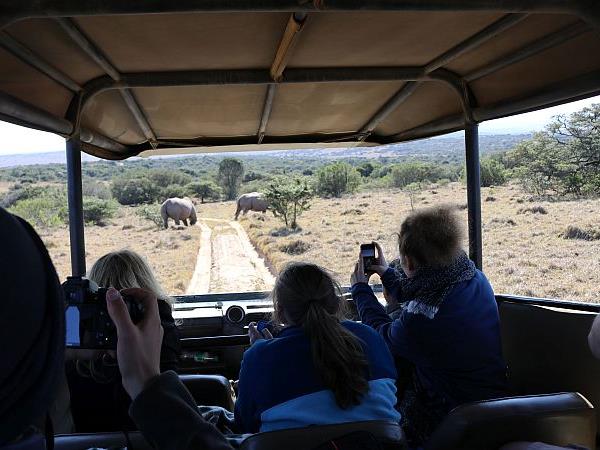 Big five conservation in South Africa