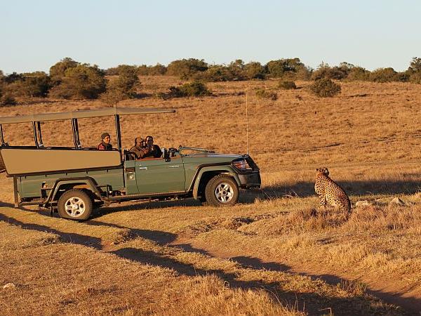 Big five conservation in South Africa