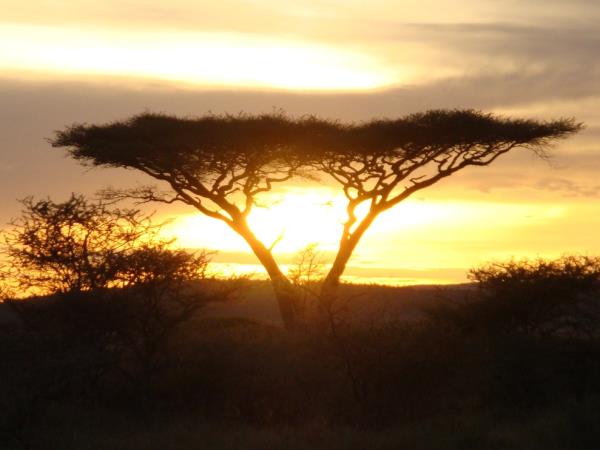 Classic Tanzania safari and beach vacation