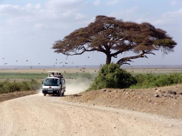 Classic Tanzania safari and beach vacation