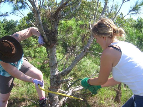 South Africa volunteering with the big five
