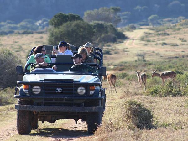 South Africa volunteering with the big five